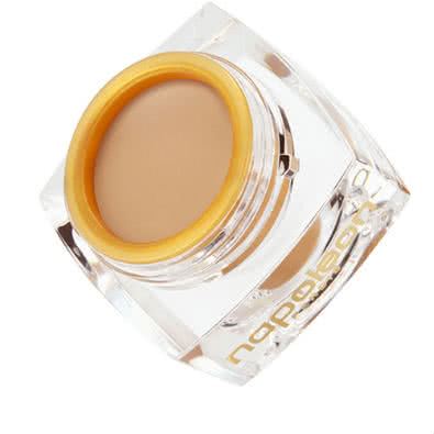 Napoleon Perdis The One Concealer Light