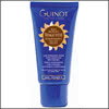 Guinot Self Tan for Face: Visage d'ete Auto Bronzant