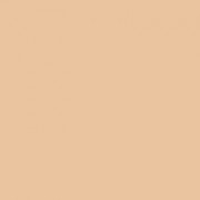 Bobbi Brown Skin Foundation SPF 15 - Cool Sand