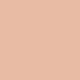 Bobbi Brown Skin Foundation SPF 15 - Ivory
