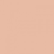 Bobbi Brown Skin Foundation SPF 15 - Ivory