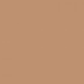 Designer Brands Stick Foundation ? True Beige