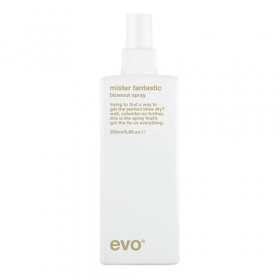 evo mister fantastic blowout spray 200ml