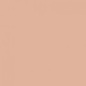 Kryolan Translucent Powder TL9 - Medium Tone