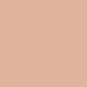 Kryolan Translucent Powder TL9 - Medium Tone