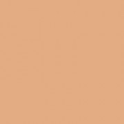 L'Oreal Paris Infallible Matte Foundation - 24 Golden Beige