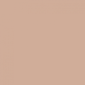 Maybelline Superstay 24Hr Foundation  -  005 Light Beige