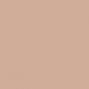 Maybelline Superstay 24Hr Foundation  -  005 Light Beige