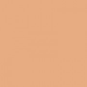 Mirenesse 10 Collagen Cushion Compact Refill - Mocha