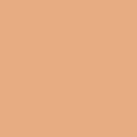 Mirenesse 10 Collagen Cushion Compact Refill - Mocha