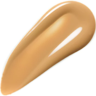 Bobbi Brown Skin Foundation SPF 15 - Warm Sand (2.5)